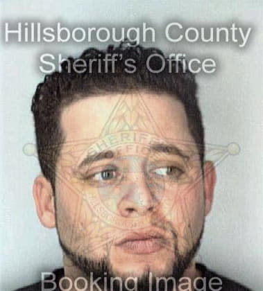 William Bauer, - Hillsborough County, FL 