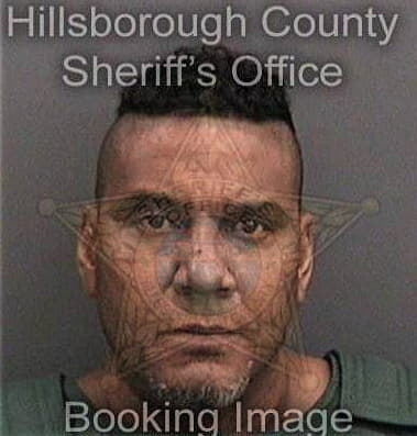 Mateo Diazdiaz, - Hillsborough County, FL 