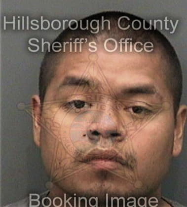 Zahir Hussain, - Hillsborough County, FL 