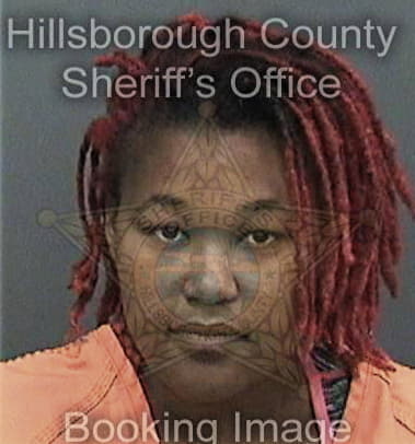 Ashley Melvin - Hillsborough County, FL 