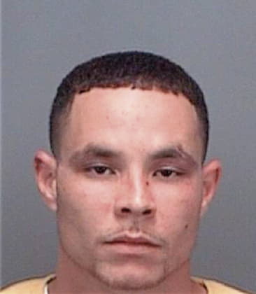 Louis Gaetano, - Pinellas County, FL 