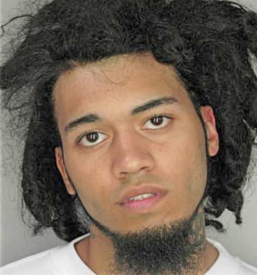 Stephen Milenki - Hillsborough County, FL 