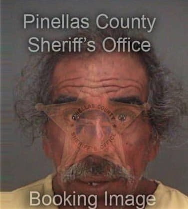 Ricardo Ortizramirez, - Pinellas County, FL 