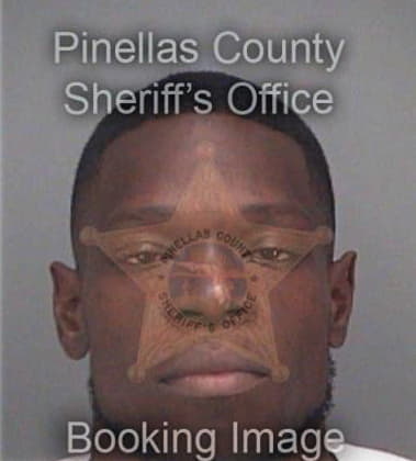 Leroy Patterson, - Pinellas County, FL 