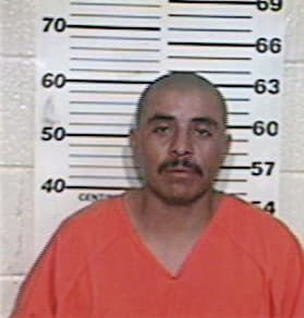 David Avalos, - Hidalgo County, TX 