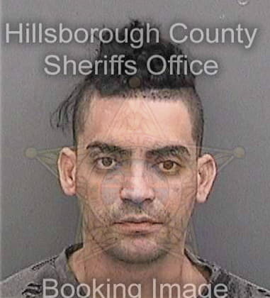 Manuel Balan, - Hillsborough County, FL 