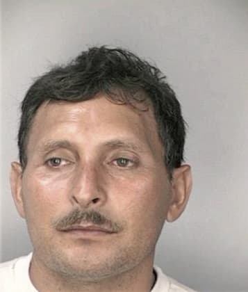 Diego Hernandezgomez - Hillsborough County, FL 