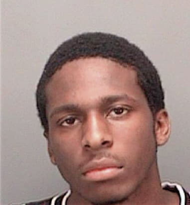 Derrick Landers, - Pinellas County, FL 