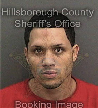 Roberto Laureano, - Hillsborough County, FL 