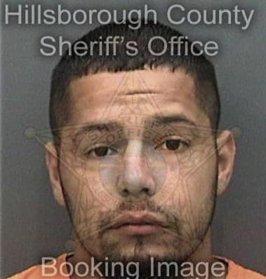 Inderjeet Singh, - Hillsborough County, FL 