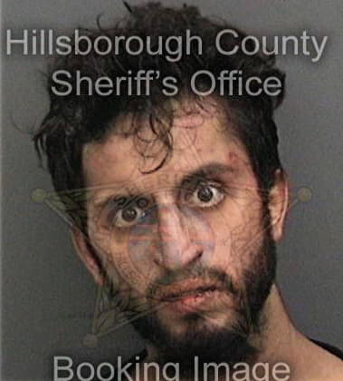 Charles Strouse, - Hillsborough County, FL 