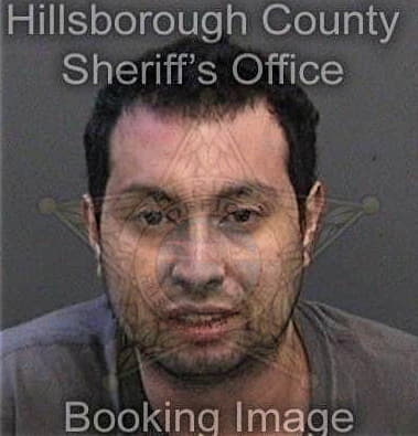 Angel Tolentinoperez, - Hillsborough County, FL 