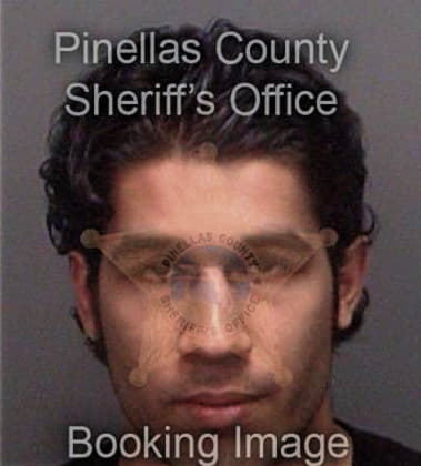 Matthew Adams, - Pinellas County, FL 