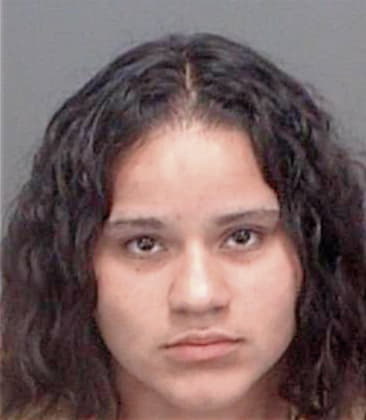 Maria Espinozaarrospide, - Pinellas County, FL 