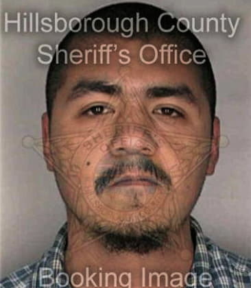 Gregory White - Hillsborough County, FL 