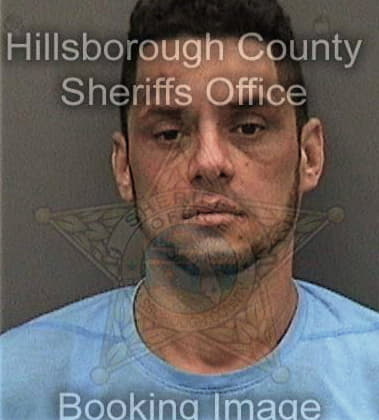 Christopher Williams - Hillsborough County, FL 