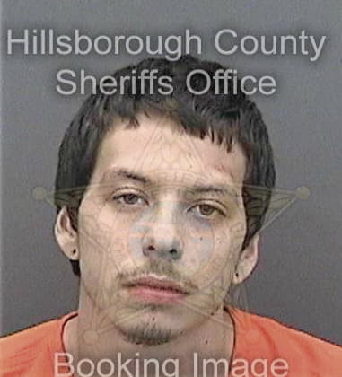 Luis Aleman-Reyes, - Hillsborough County, FL 