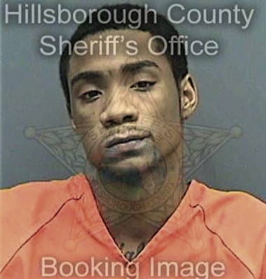 Damian Bowie - Hillsborough County, FL 