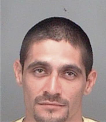 Raymond Castillo, - Pinellas County, FL 