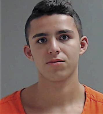 Ricardo Gonzalez, - Hidalgo County, TX 