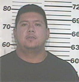 Misael Hernandez, - Hidalgo County, TX 