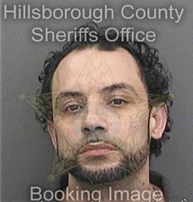 Brandon Lane, - Hillsborough County, FL 