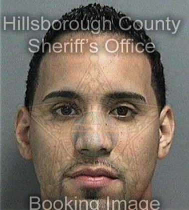 Elizer Medina - Hillsborough County, FL 