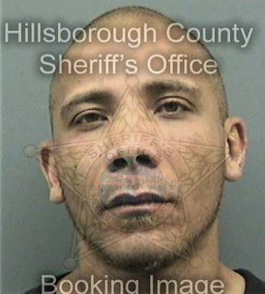 Antonio Patino, - Hillsborough County, FL 