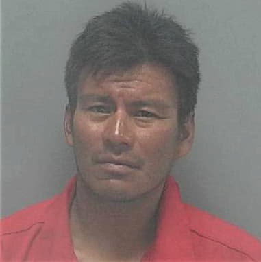 Jose Puentes-Solis, - Lee County, FL 