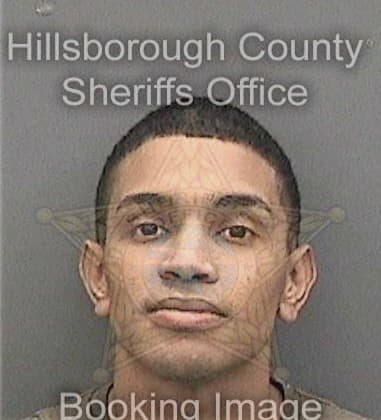 Brandon Seabolt, - Hillsborough County, FL 