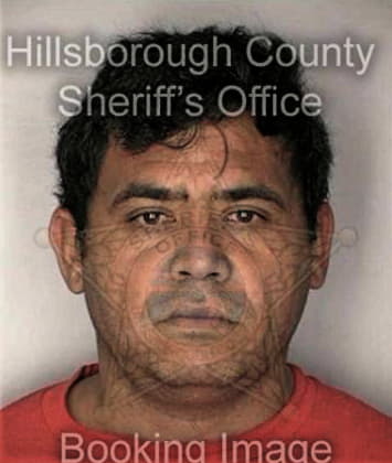 Adolfo Solis, - Hillsborough County, FL 