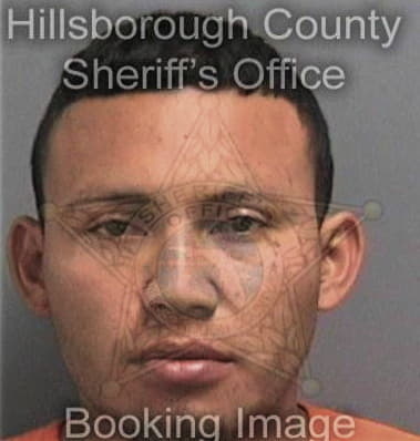 Gersy Valleflores, - Hillsborough County, FL 