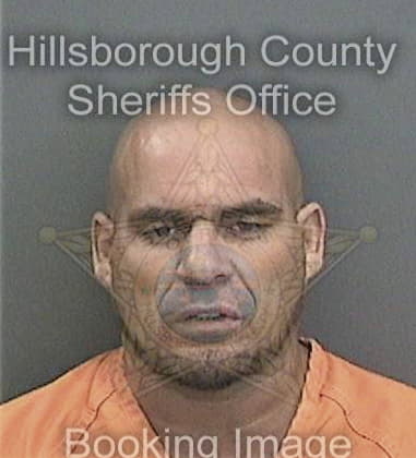 Luis Arzolapichardo, - Hillsborough County, FL 