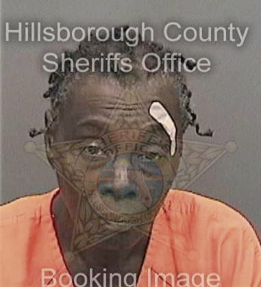 Wendy Bienaime - Hillsborough County, FL 