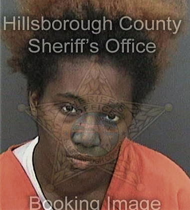 Amber Lewisthomas, - Hillsborough County, FL 