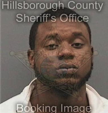 Lorenzo Little, - Hillsborough County, FL 