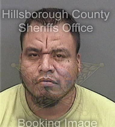 James Mercer - Hillsborough County, FL 