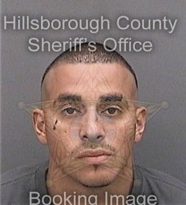 Roilan Rodriguez, - Hillsborough County, FL 