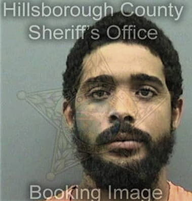 Brandon Daniels, - Hillsborough County, FL 