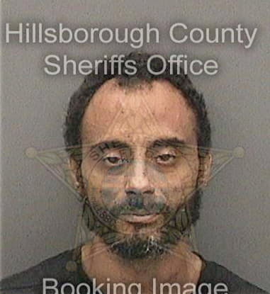 Raymond Danzey, - Hillsborough County, FL 