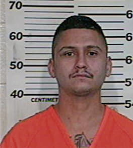 Ronny Delgado, - Hidalgo County, TX 