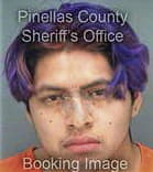 Mohammad Elghassal, - Pinellas County, FL 