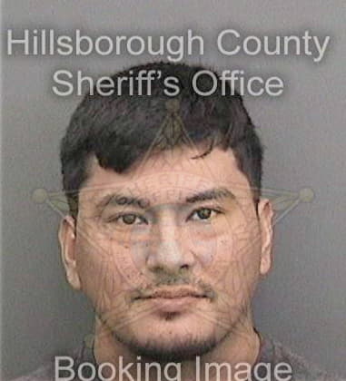 Alberico Garcia, - Hillsborough County, FL 