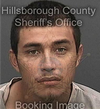 Tyler Grimes, - Hillsborough County, FL 