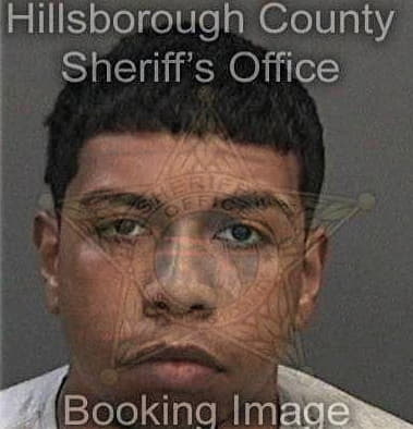 Raul Gutierrez-Soriano, - Hillsborough County, FL 