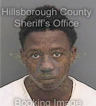 Lee McClintockfraser - Hillsborough County, FL 