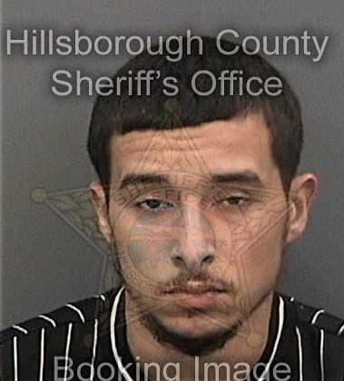 Jesse Mendezperez - Hillsborough County, FL 