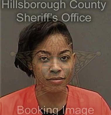 Chelsea Michel - Hillsborough County, FL 