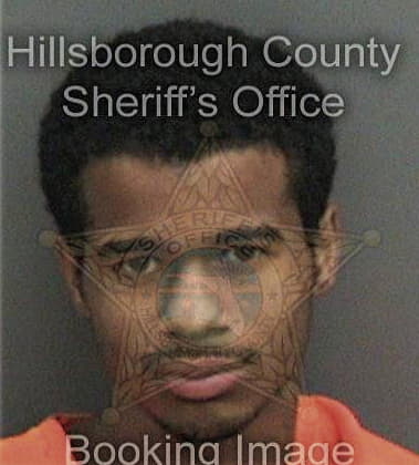 Dillon Terrell, - Hillsborough County, FL 