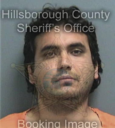 Ronald Waltens, - Hillsborough County, FL 